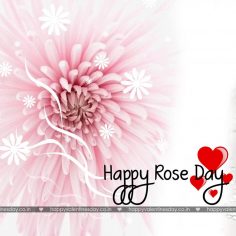 Rose Day