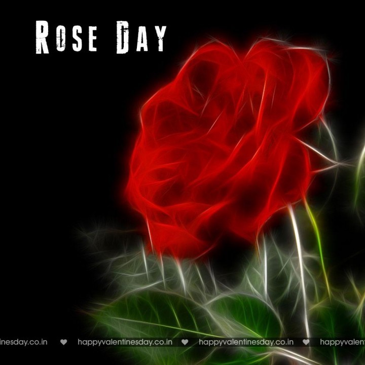 Rose Day – funny greeting cards | Happy Valentines Day Greetings | Happy  Valentines Day Messages | Happy Valentines Day Gifts | Happy Valentines Day  Wallpapers | Valentines Day SMS