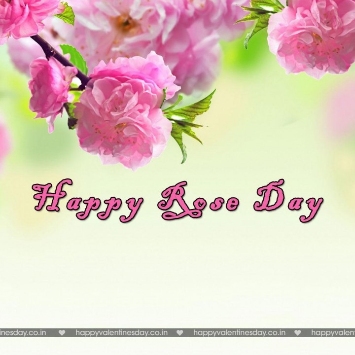 Rose Day – happy valentines day image