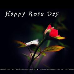 Rose Day – pictures valentines day