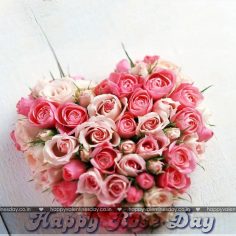 Rose Day