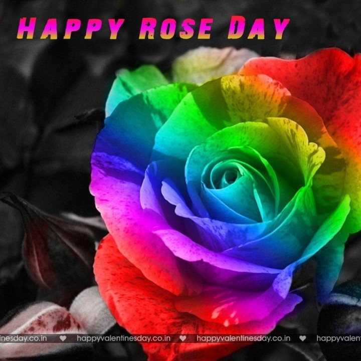 Rose Day – happy valentines day sms hindi