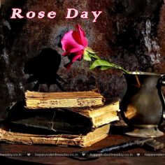 Rose Day – happy valentine day quotes