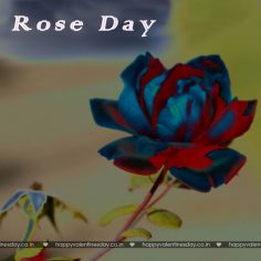 Rose Day – valentines day quotations