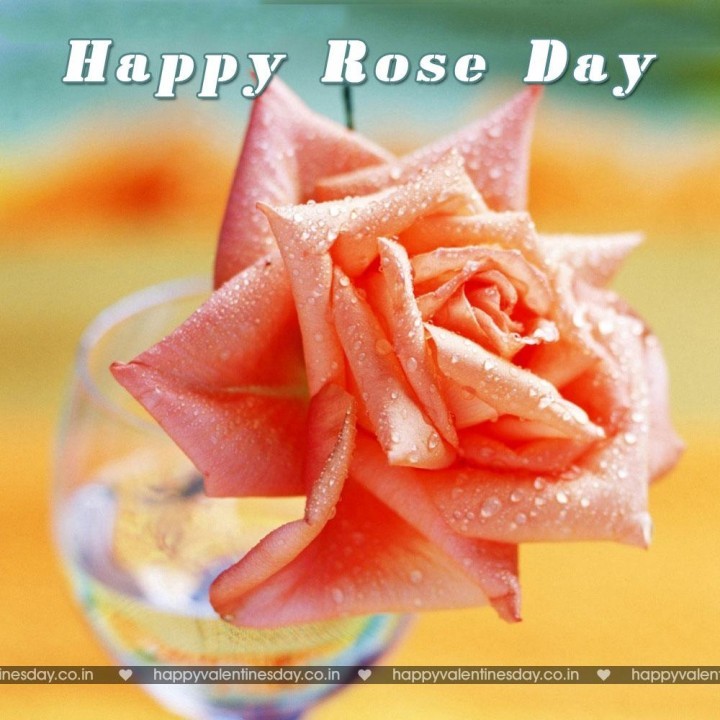 Rose Day