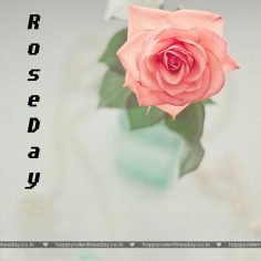 Rose Day – happy valentines day in turkish