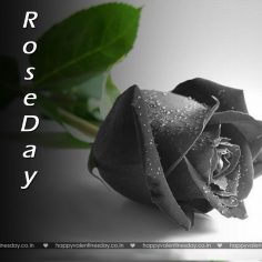 Rose Day – greetings for valentines day