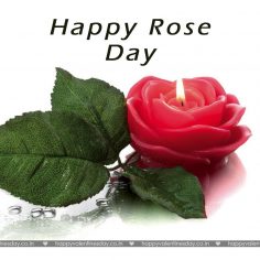 Rose Day – happy valentines day ecards