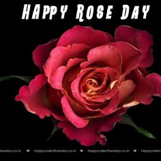Rose Day – happy valentine day message