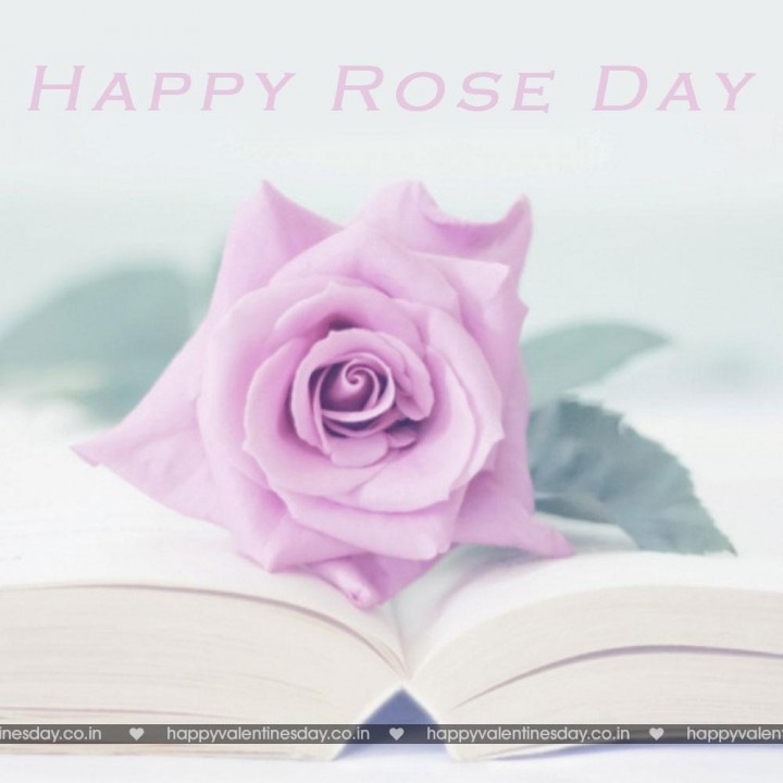 Rose Day