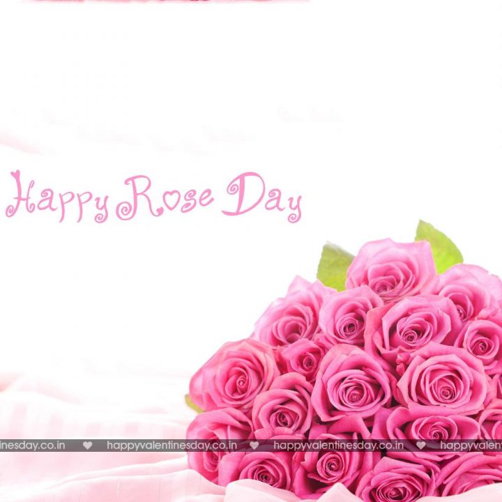 Rose Day