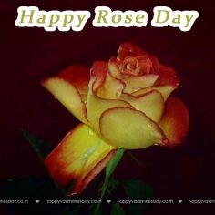 Rose Day – free e greetings