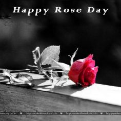 Rose Day – happy valentines day card