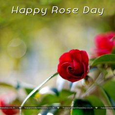 Rose Day – happy valentines day lyrics