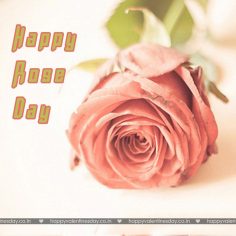 Rose Day – happy valentines day letters