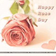 Rose Day – free talking ecards