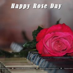 Rose Day – happy valentines day galleries