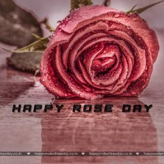 Rose Day – free ecard