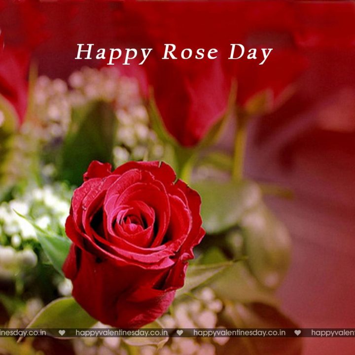 Rose Day – free musical ecards