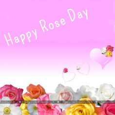 Rose Day