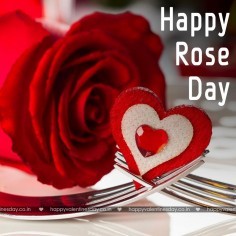 Rose Day