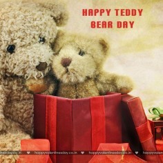 Teddy Day Valentine 112