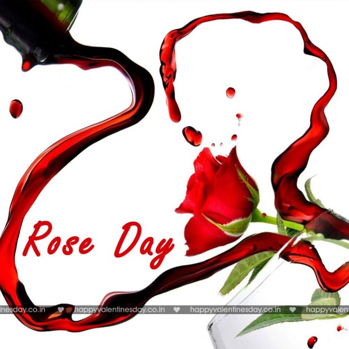 Rose Day