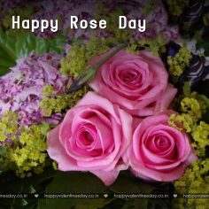 Rose Day – happy valentines day to a friend