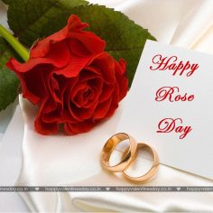 Rose Day