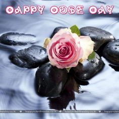Rose Day – happy valentine day picture