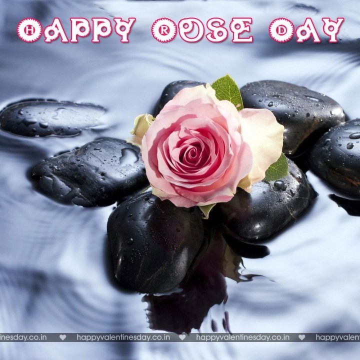 Rose Day – happy valentine day picture