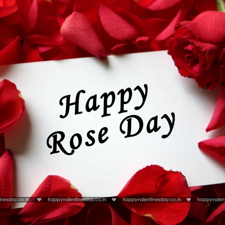 Rose Day
