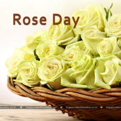 Rose Day