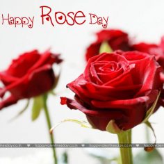Rose Day
