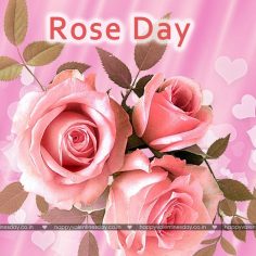 Rose Day