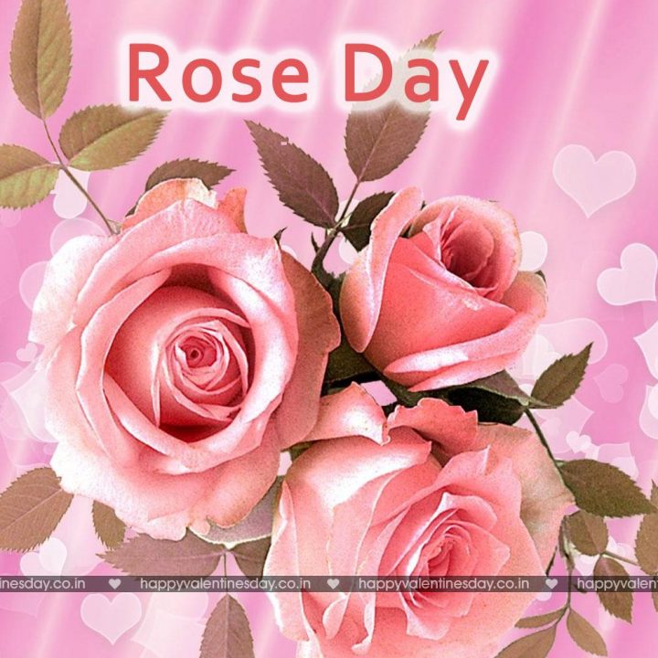 Rose Day