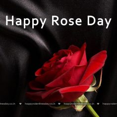 Rose Day