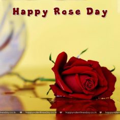 Rose Day – happy valentines day graphics