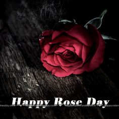 Rose Day