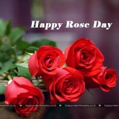 Rose Day