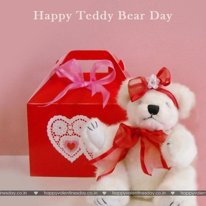Teddy Day Valentine 84