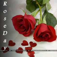 Rose Day