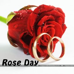 Rose Day