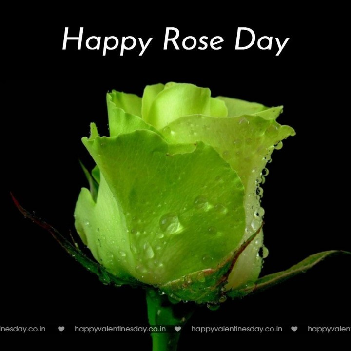 Rose Day – valentines e card