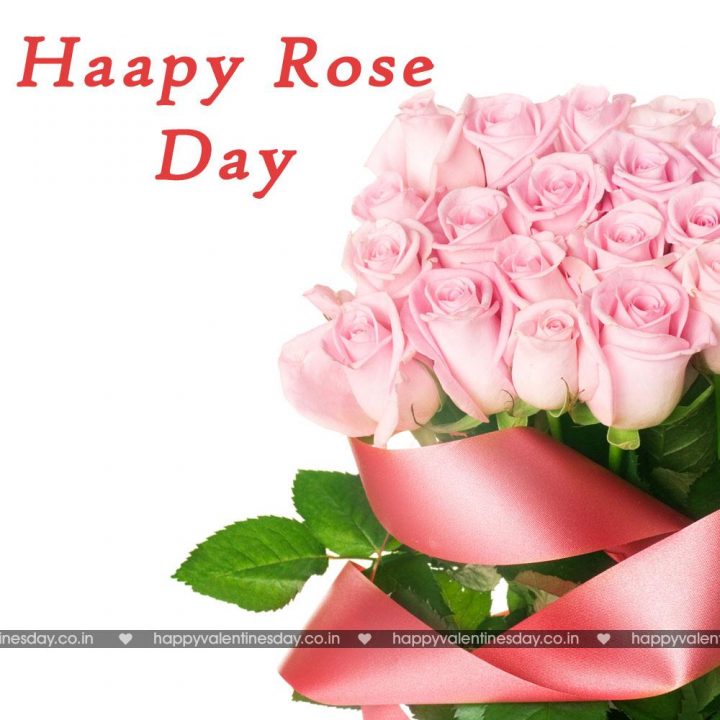 Rose Day