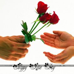 Rose Day