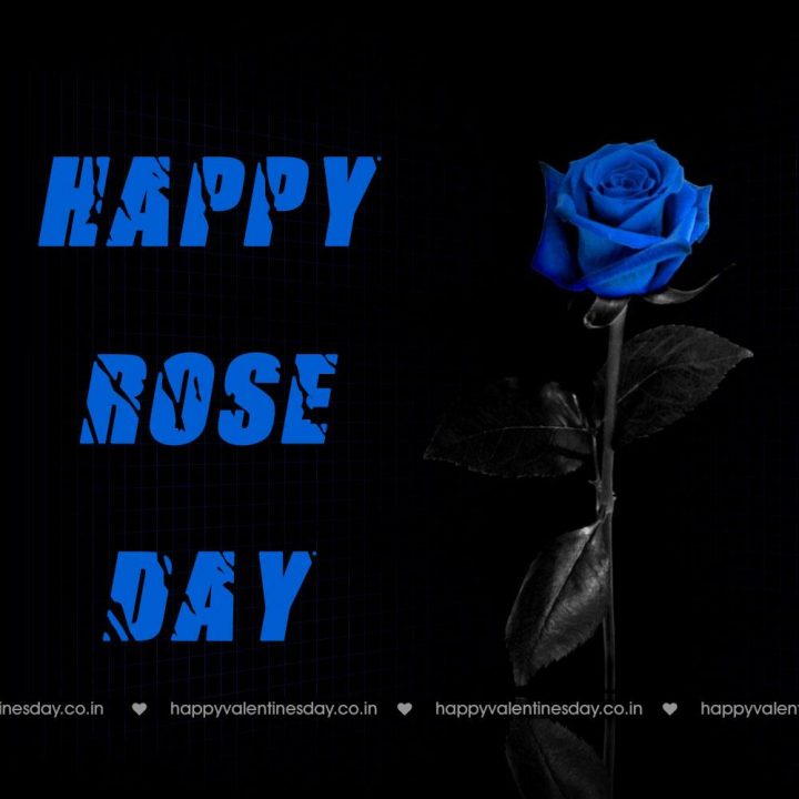 Rose Day