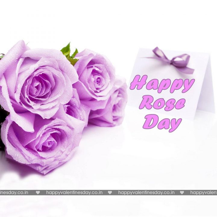 Rose Day