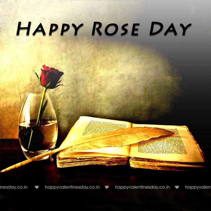 Rose Day