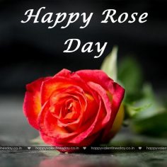 Rose Day